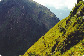 Kanchenjunga peak