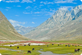 Markha Valley View