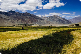 Trekking in Zanskar Valley