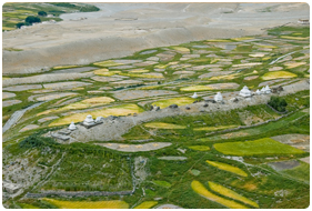 Ladakh Trekking Packages